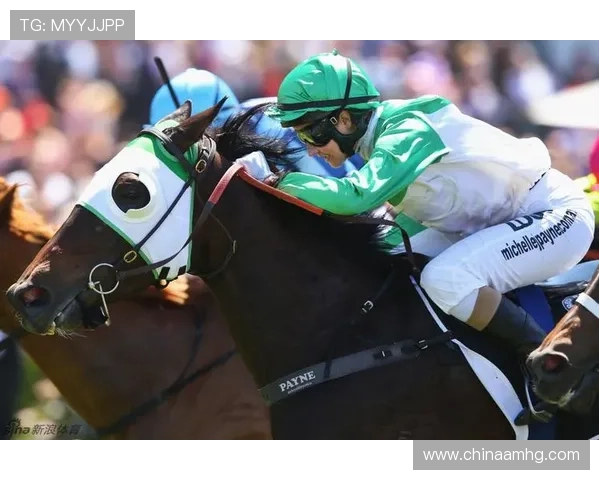 体育皇冠旧版下载安装指南,详细步骤帮助你轻松获取最新版本