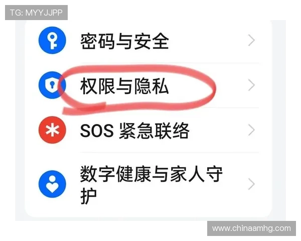 皇冠app手机下载成功后如何进行账号安全设置与隐私保护