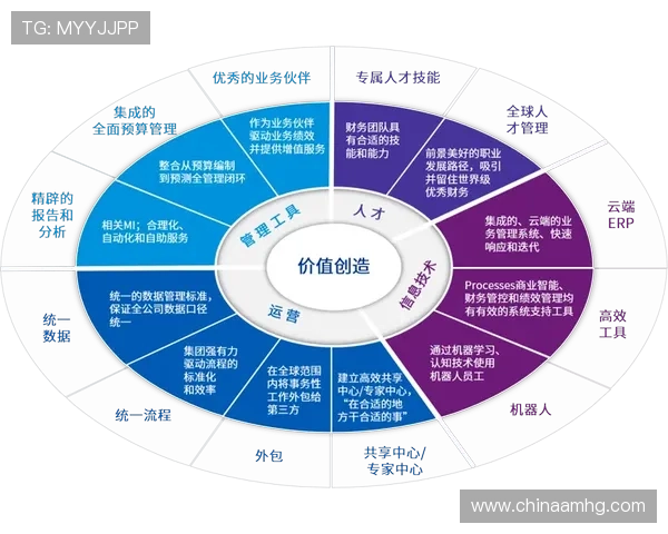皇冠有限公司的财务管理体系建设与风险控制措施研究