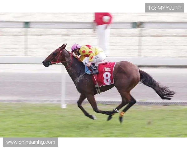 掌握澳门赛马玩法的关键技巧提升你的投注成功率