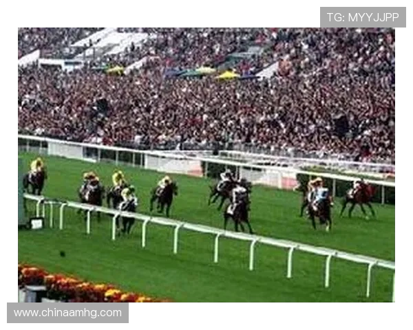 hkjc网娱乐：如何在香港赛马会在线平台上实现高效投注与资金管理