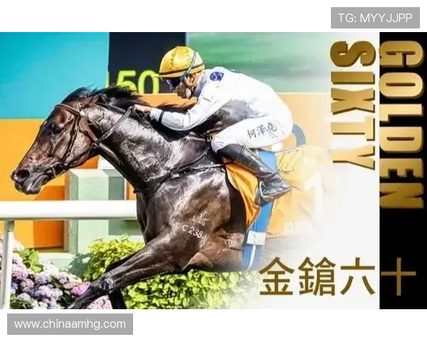 下载赛马会手机版，随时随地掌握最新赛马资讯与赛事直播服务