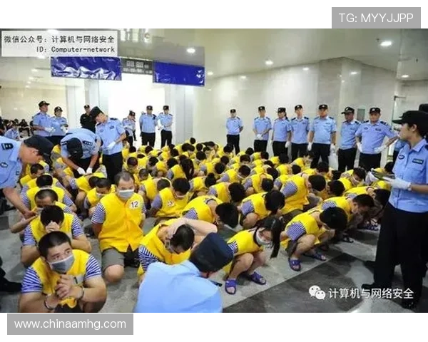 如何辨别六合彩的网址是否安全可靠，避免网络诈骗的实用技巧与建议