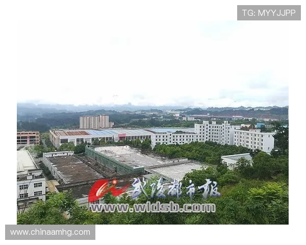 皇冠ag旗舰充值优惠政策全攻略让你轻松实现游戏资产快速增长
