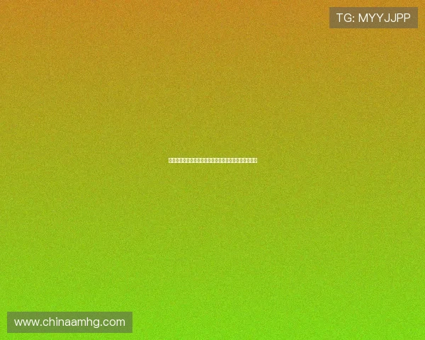 世界杯捷克对阵墨西哥比赛场地详细介绍与赛场设施分析