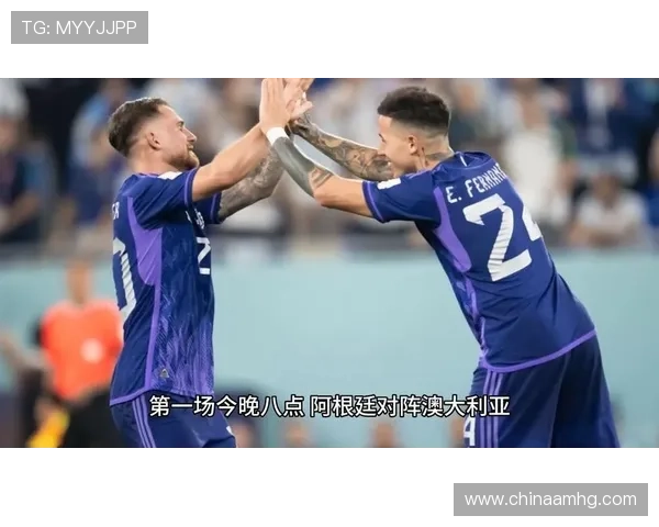 捷克对墨西哥比赛现场周边商品全解析，提升你的世界杯观赛体验